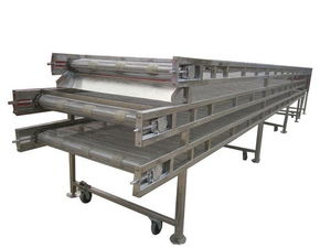 提升效率与品质 荥阳市成远食品机械厂的饺子冷冻加工流水线与速冻隧道